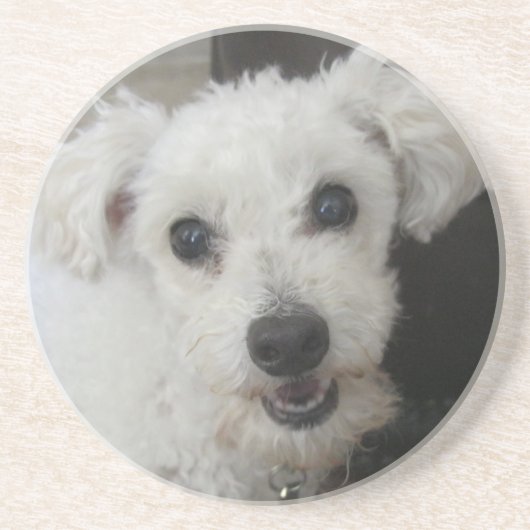 Dessous De Verre En Grès Lambchop II (Devant)