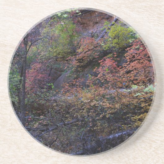 Dessous De Verre En Grès L'automne à Sedona (Devant)