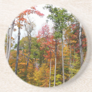 Dessous De Verre En Grès L'automne dans la forêt Photographie d'automne col