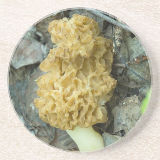 Dessous De Verre En Grès Le champignon Blond Morel (Devant)