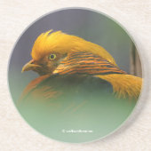Dessous De Verre En Grès Le faisan d'or entre les Feuille (Devant)