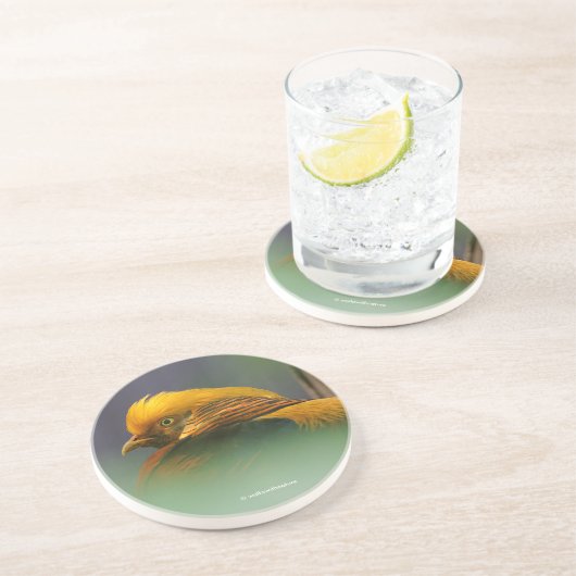 Dessous De Verre En Grès Le faisan d'or entre les Feuille (Côté)