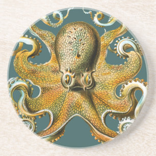 Dessous De Verre En Grès Le poulpe d'Ernst Haeckel