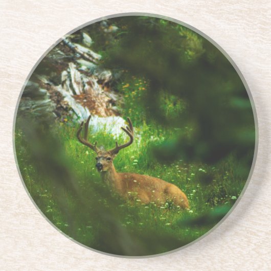 Dessous De Verre En Grès Le Prince Forêt (Devant)