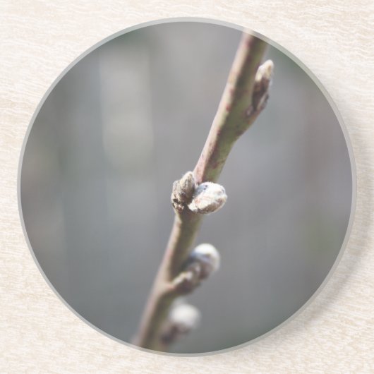 Dessous De Verre En Grès Le printemps arrive (Devant)