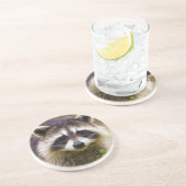 Dessous De Verre En Grès Le raton laveur Procyon (Côté)