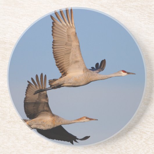 Dessous De Verre En Grès le sandhill tend le cou en vol (Devant)
