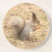 Dessous De Verre En Grès L'écureuil mignon mange une photo de noix (Devant)