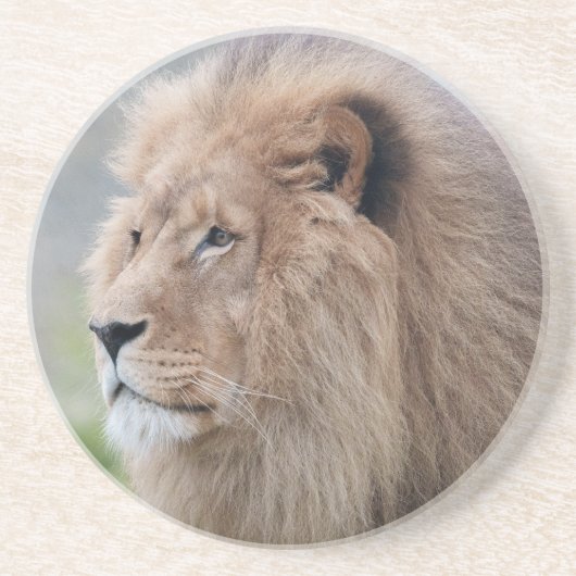 Dessous De Verre En Grès L'Embrace du lion (Devant)