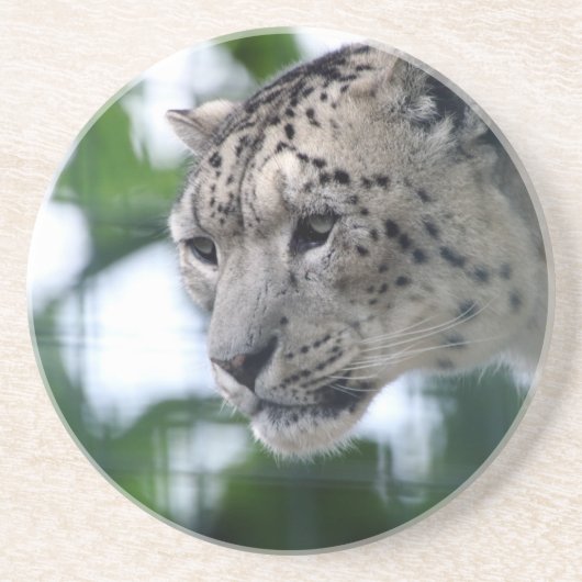 Dessous De Verre En Grès Leopard 003 (Devant)