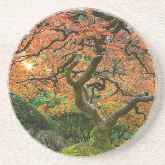 Dessous De Verre En Grès L'Érable Dans Les Jardins Japonais En Automne (Devant)