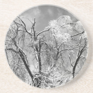 Dessous De Verre En Grès les arbres l'hiver