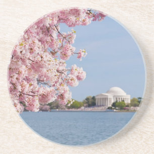 Dessous De Verre En Grès Les Etats-Unis, Washington DC, cerisier
