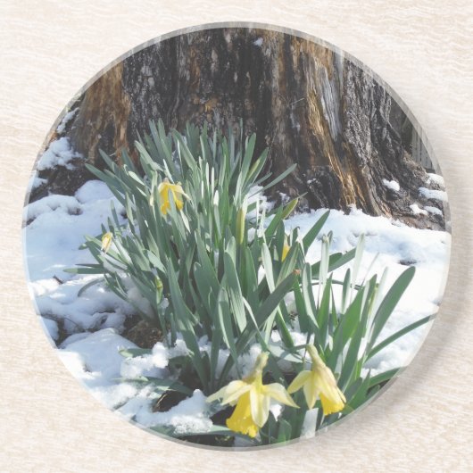Dessous De Verre En Grès Les jonquilles jaunes dans la neige (Devant)