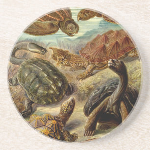 Dessous De Verre En Grès Les tortues Haeckel