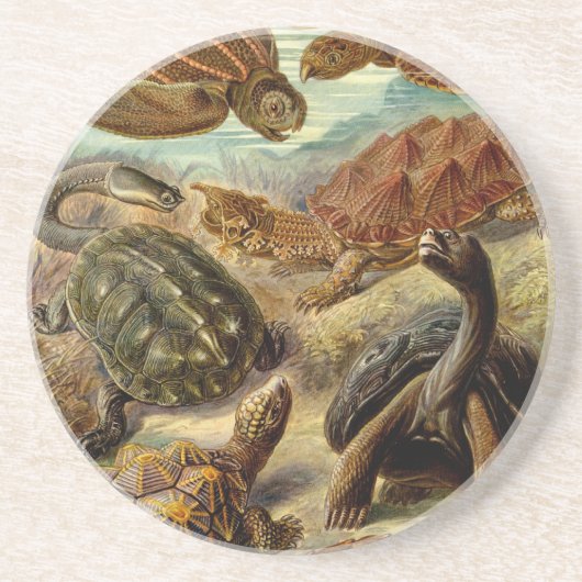 Dessous De Verre En Grès Les tortues Haeckel (Devant)