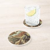 Dessous De Verre En Grès Les tortues Haeckel (Côté)