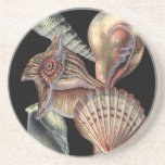 Dessous De Verre En Grès Les trésors de la mer<br><div class="desc">Cet imprimé d'art présente les plus belles choses de la nature dans l'océan. Retrouvez tous les types de vie marine dans cette image, y compris un coquillage de coquillages, des dollars de sable et des récifs enterrés au fond de la mer. Cette collection d'art est un must dans vos prochains...</div>