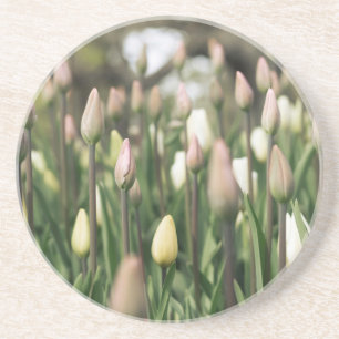 Dessous De Verre En Grès Les tulipes commencent à fleurir