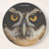 Dessous De Verre En Grès Les yeux dorés d'une chouette spectaculaire (Devant)