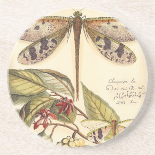 Dessous De Verre En Grès Libellules avec le feuille et le fruit