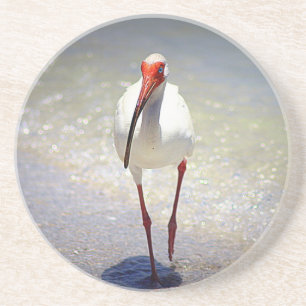 Dessous De Verre En Grès Ligne Ibis blanche