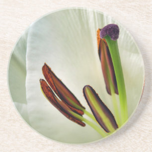 Dessous De Verre En Grès Lilium Oriental Blanc
