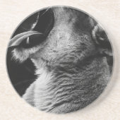 Dessous De Verre En Grès lion (Devant)