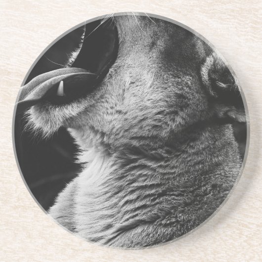 Dessous De Verre En Grès lion (Devant)