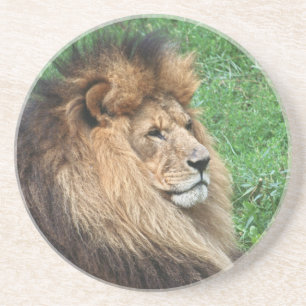 Dessous De Verre En Grès Lion 001