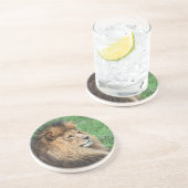 Dessous De Verre En Grès Lion 001 (Côté)