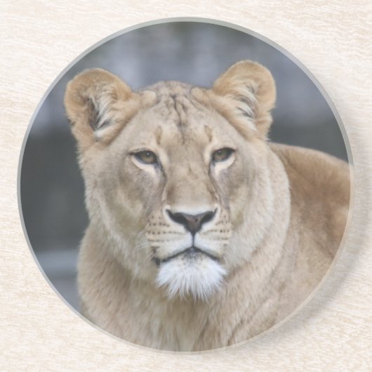 Dessous De Verre En Grès Lion 004 (Devant)