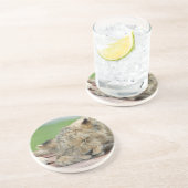 Dessous De Verre En Grès Lion 014 (Côté)