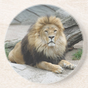 Dessous De Verre En Grès Lion 020