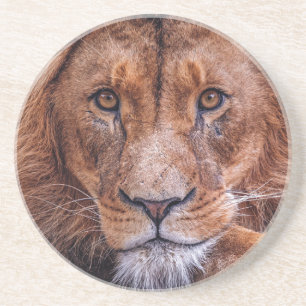 Dessous De Verre En Grès Lion d'Afrique