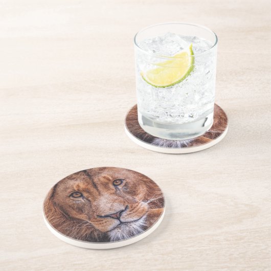 Dessous De Verre En Grès Lion d'Afrique (Côté)