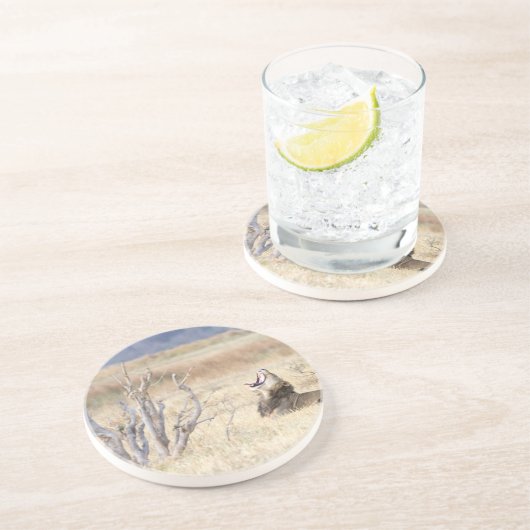 Dessous De Verre En Grès Lion de Yawning (Côté)