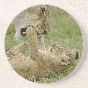 Dessous De Verre En Grès Lionceau Jouant