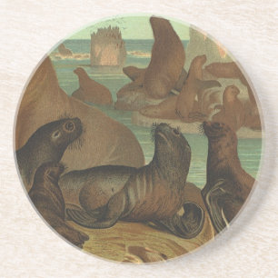 Dessous De Verre En Grès Lions de mer vintage sur la plage, Vie marine Anim