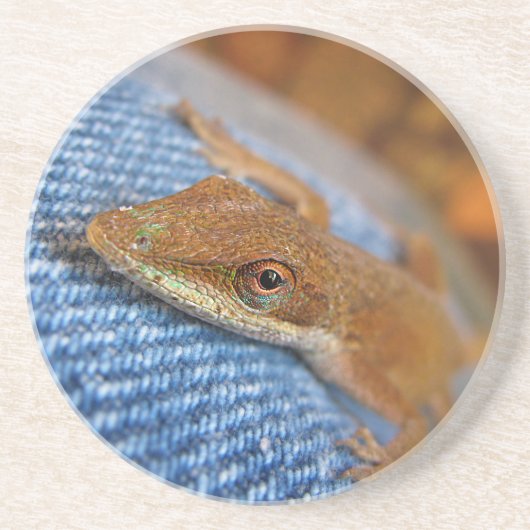Dessous De Verre En Grès Lizard d'Anole Verte (Devant)