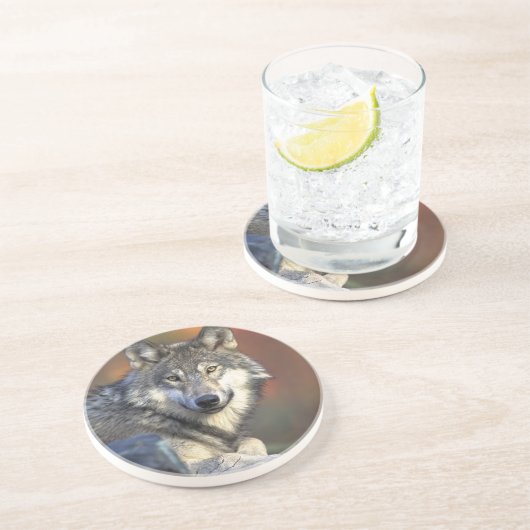 Dessous De Verre En Grès Lobo gris (Côté)