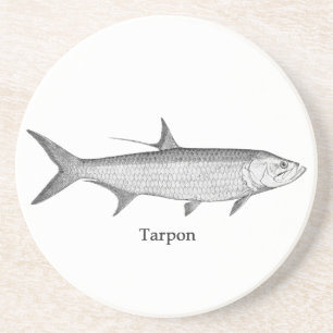 Dessous De Verre En Grès Logo de tarpon (schéma)