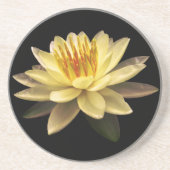 Dessous De Verre En Grès Lotos (Devant)