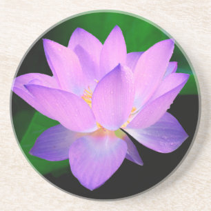 Dessous De Verre En Grès lotus eau rendez-vous romantique mariage paix espo