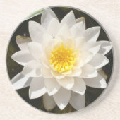 Dessous De Verre En Grès Lotus Nénuphar Blanc Flottant (Devant)
