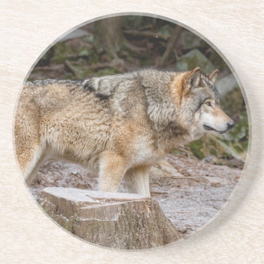 Dessous De Verre En Grès Loup de bois (Devant)