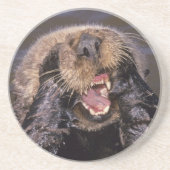 Dessous De Verre En Grès Loutres de mer, Enhydra lutris 6 (Devant)