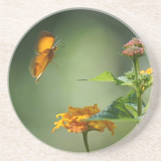 Dessous De Verre En Grès Lumière de l'été (Devant)