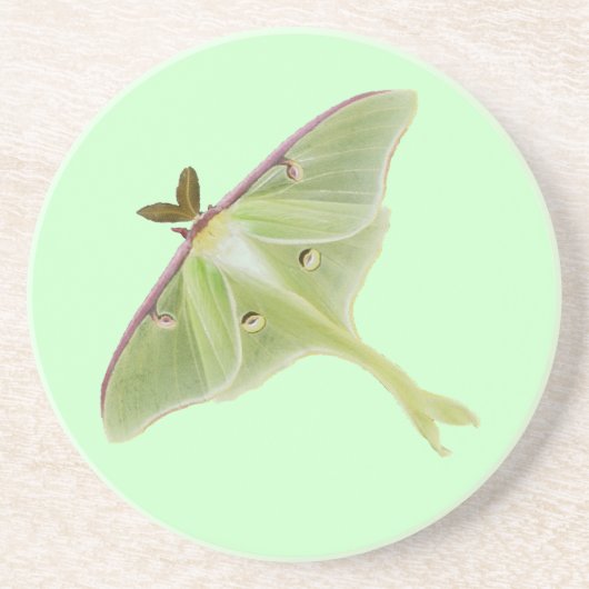 Dessous De Verre En Grès Luna Moth (Devant)