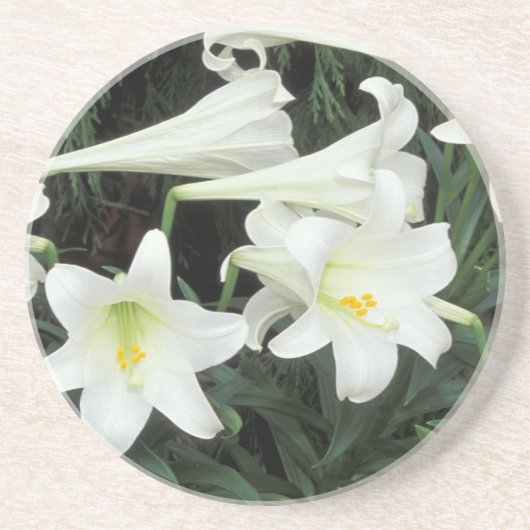 Dessous De Verre En Grès Lys de Pâques (Lilium regale) (Devant)
